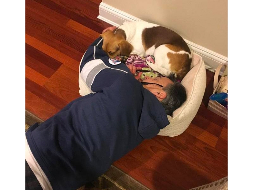 These fathers categorically did not want pets in the house, but something went wrong ... These fathers categorically did not want pets in the house, but something went wrong ...