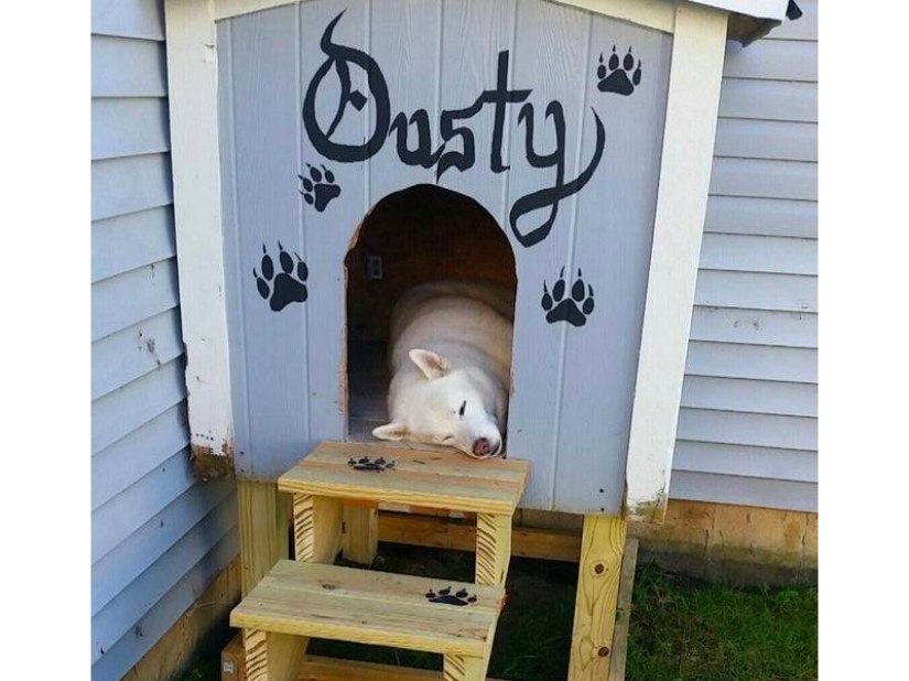 These fathers categorically did not want pets in the house, but something went wrong ... These fathers categorically did not want pets in the house, but something went wrong ...