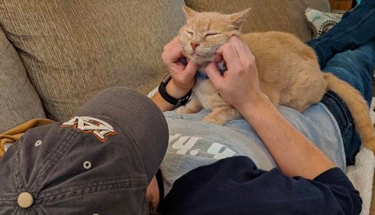 These fathers categorically did not want pets in the house, but something went wrong ...