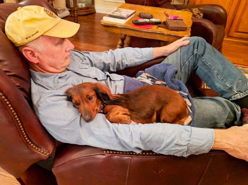 These fathers categorically did not want pets in the house, but something went wrong ... These fathers categorically did not want pets in the house, but something went wrong ...