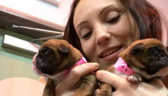 These spouses successfully cloned their dog after his death These spouses successfully cloned their dog after his death