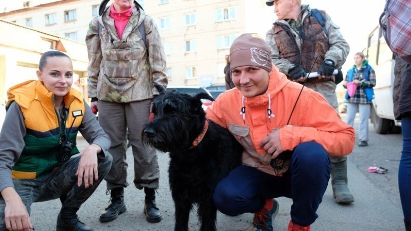 They ate resin and fried mice: a pensioner with his dog wandered through the taiga for three weeks