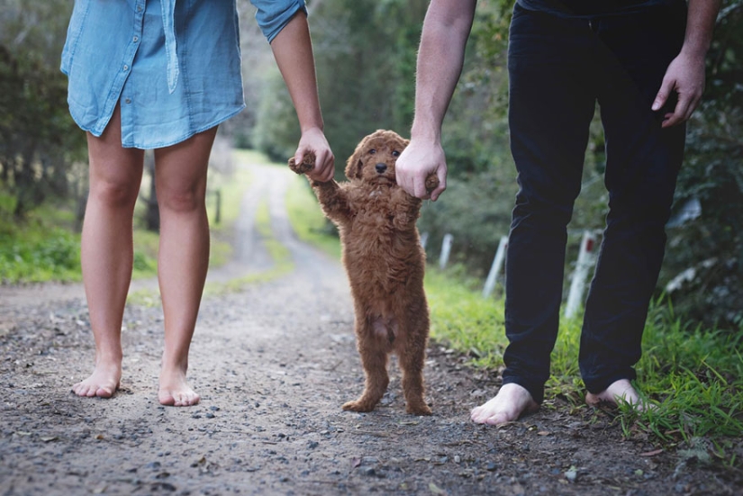This couple got tired of being asked about children, and arranged a "newborn photo shoot" for their dog This couple got tired of being asked about children, and arranged a "newborn photo shoot" for their dog