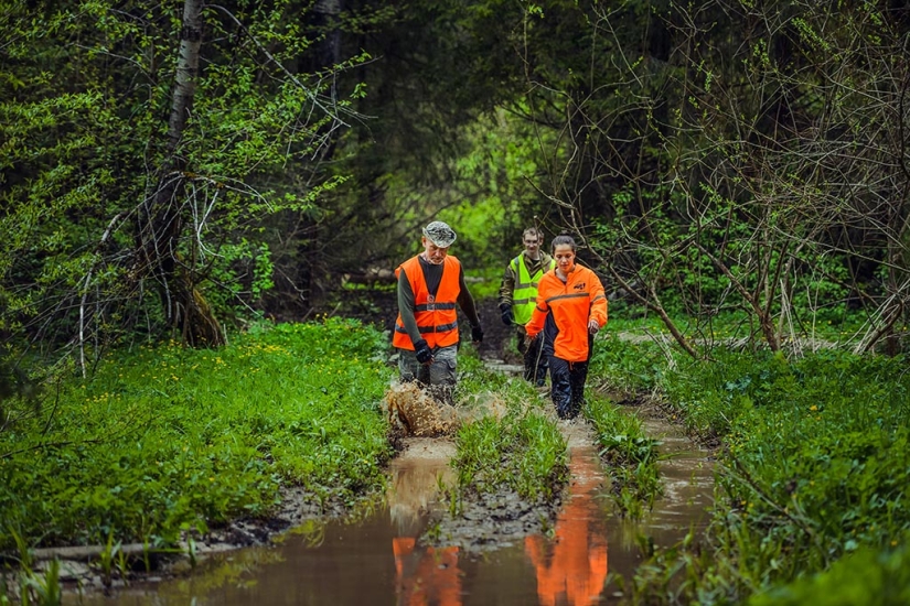 "This is what I need for happiness": Lisa Alert volunteers — about their work