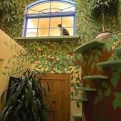 This man designed the perfect home for his cats