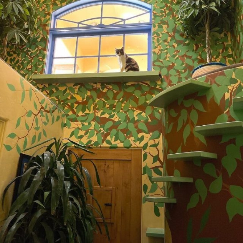 This man designed the perfect home for his cats This man designed the perfect home for his cats