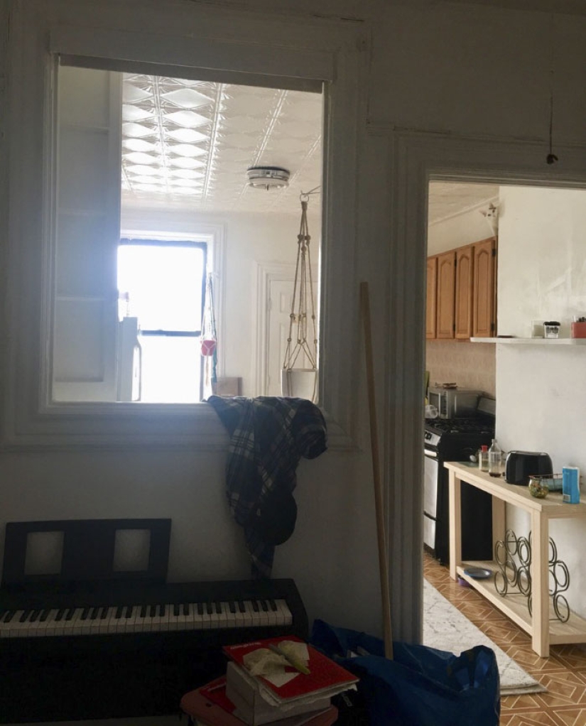 This ninja cat hides in a new place every day, and it's not so easy to find her