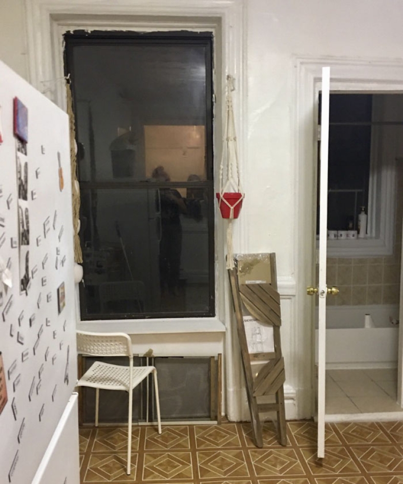 This ninja cat hides in a new place every day, and it's not so easy to find her