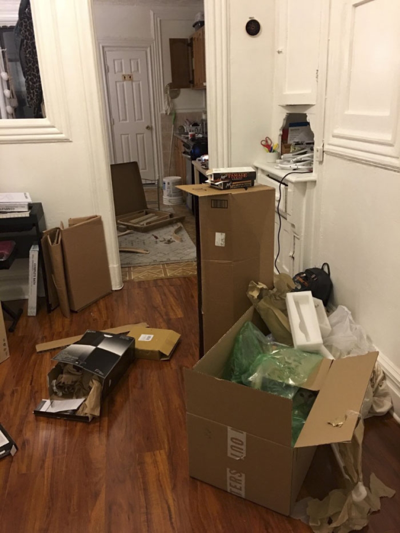 This ninja cat hides in a new place every day, and it's not so easy to find her