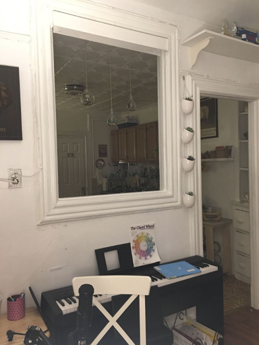 This ninja cat hides in a new place every day, and it's not so easy to find her