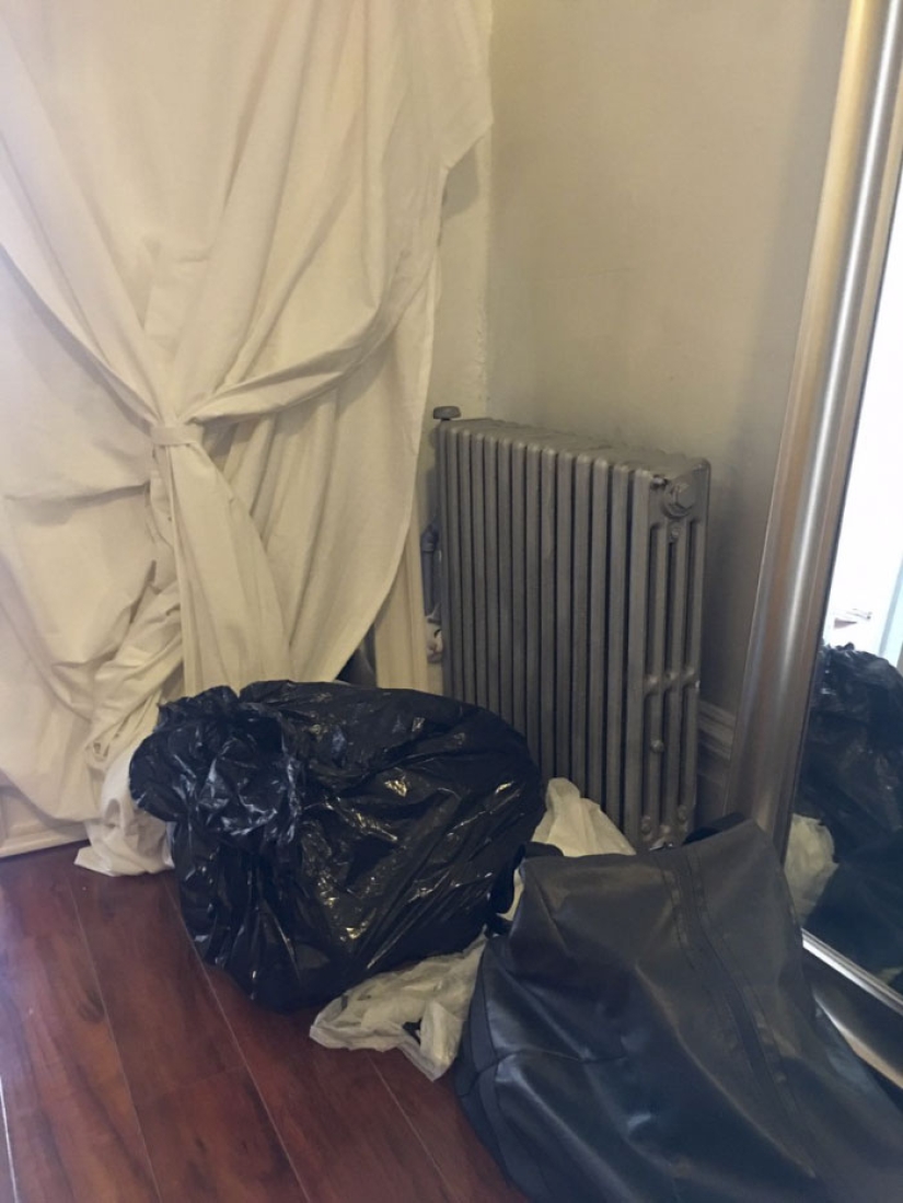 This ninja cat hides in a new place every day, and it's not so easy to find her