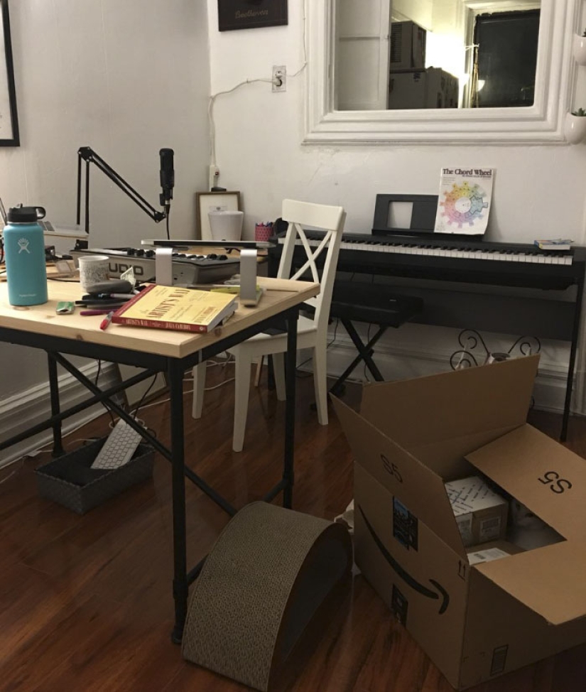 This ninja cat hides in a new place every day, and it's not so easy to find her