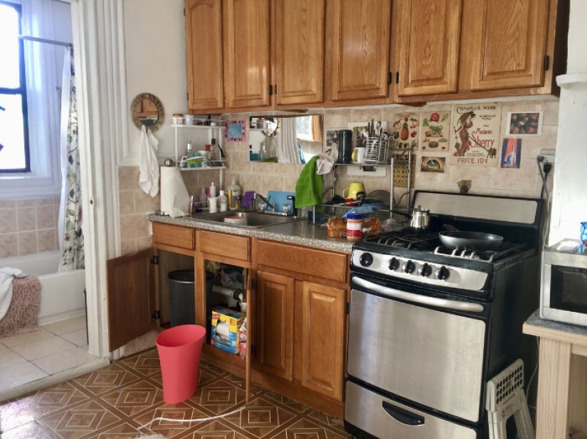 This ninja cat hides in a new place every day, and it's not so easy to find her