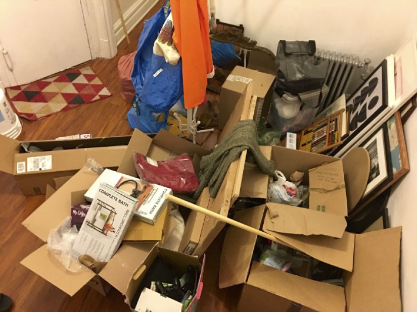 This ninja cat hides in a new place every day, and it's not so easy to find her