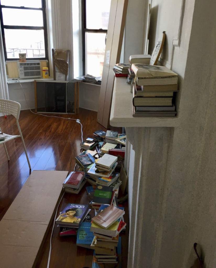 This ninja cat hides in a new place every day, and it's not so easy to find her