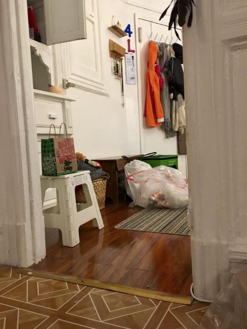This ninja cat hides in a new place every day, and it's not so easy to find her
