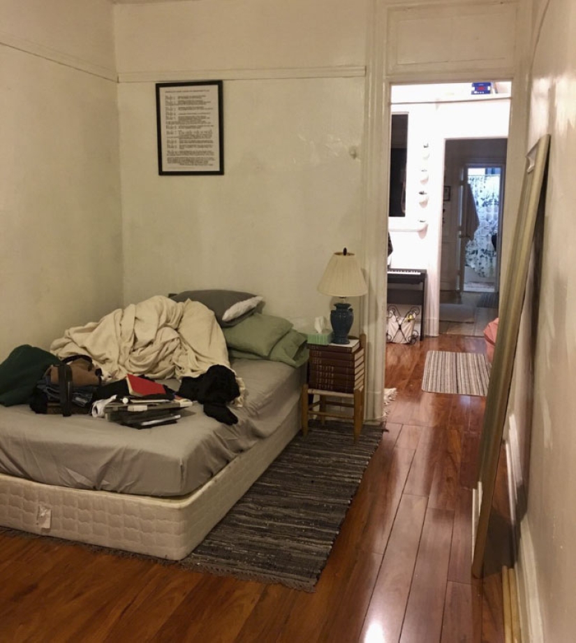 This ninja cat hides in a new place every day, and it's not so easy to find her