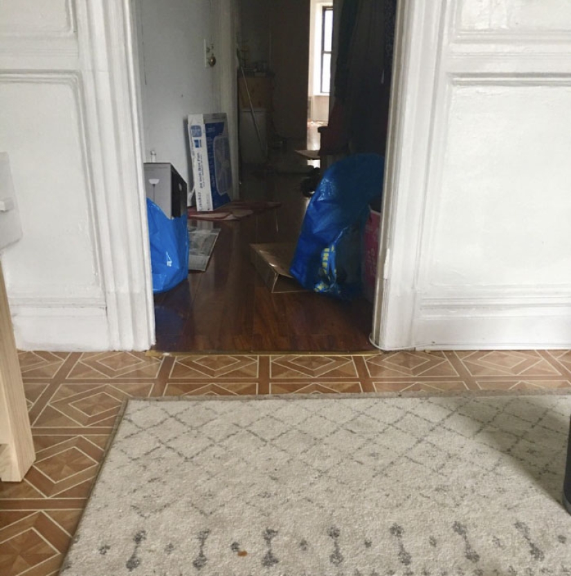 This ninja cat hides in a new place every day, and it's not so easy to find her