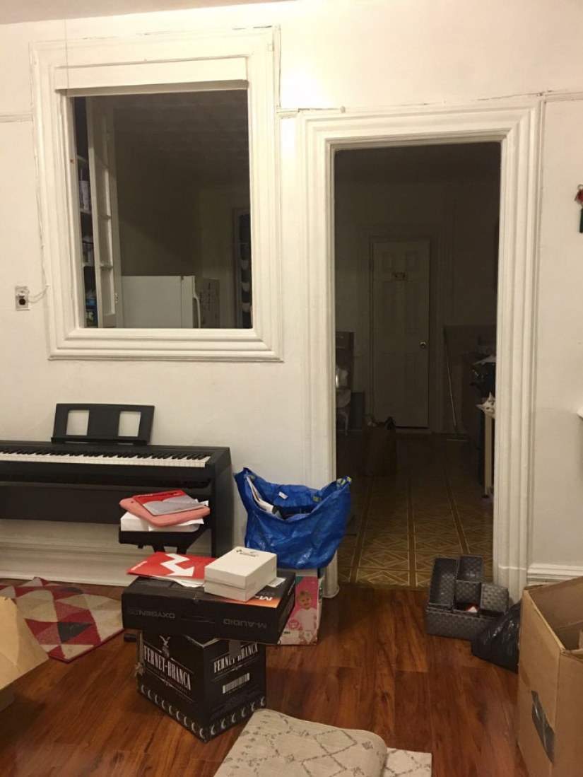 This ninja cat hides in a new place every day, and it's not so easy to find her