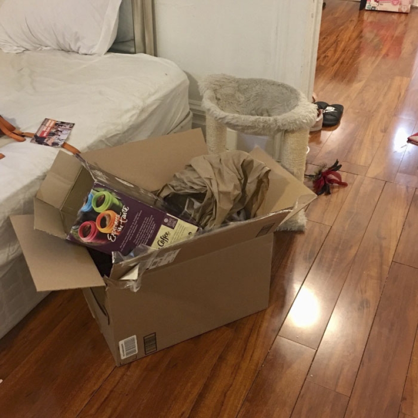 This ninja cat hides in a new place every day, and it's not so easy to find her