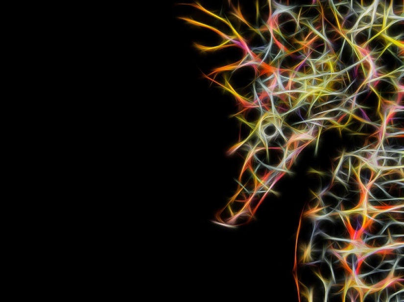 This wonderful underwater world: the best pictures from the Ocean Art Underwater photography contest 2019