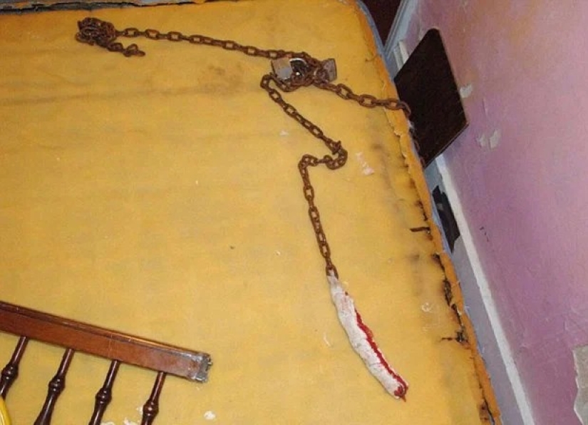 Three victims of one beast: stories of women who survived 9 years of nightmare in captivity of a school bus driver