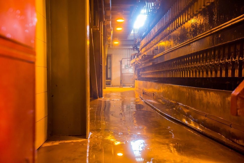 Through thorns to gold