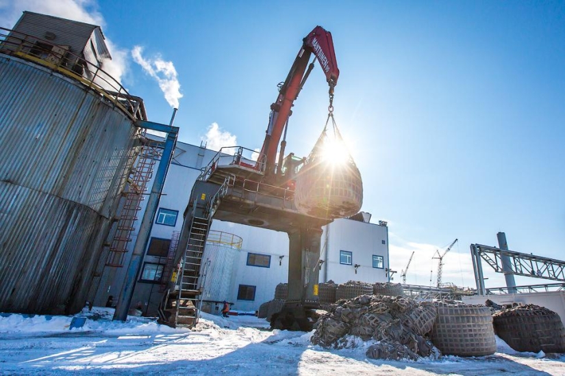 Through thorns to gold