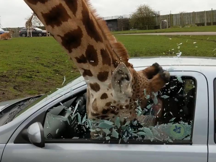 Timely captured frames: 16 photos