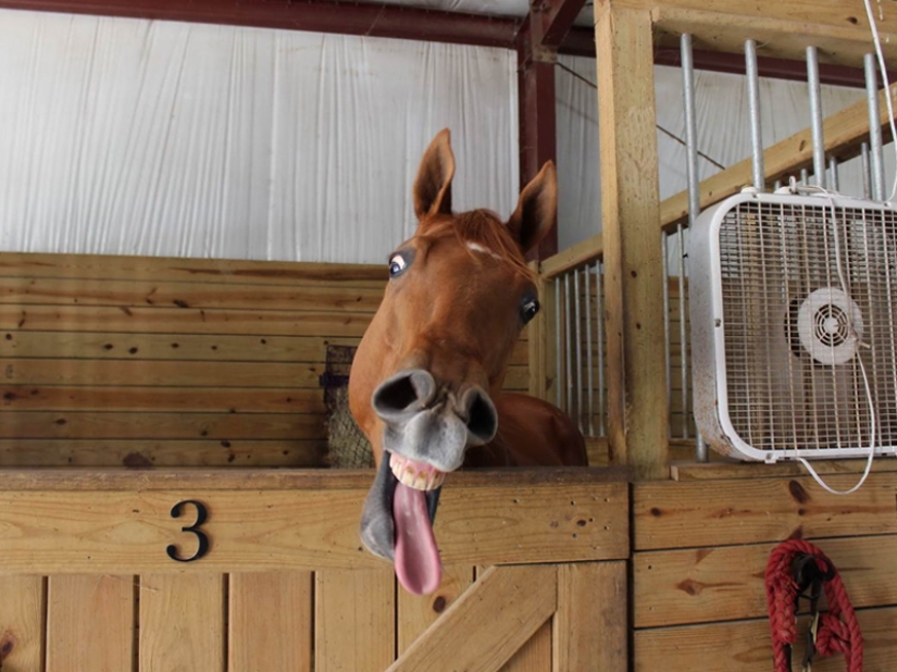 Timely captured frames: 16 photos