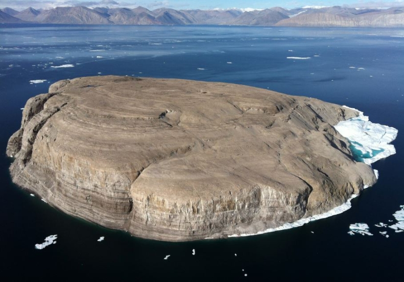 Tira y afloja: Canadá y Dinamarca luchan la Guerra más extraña de la Historia Humana