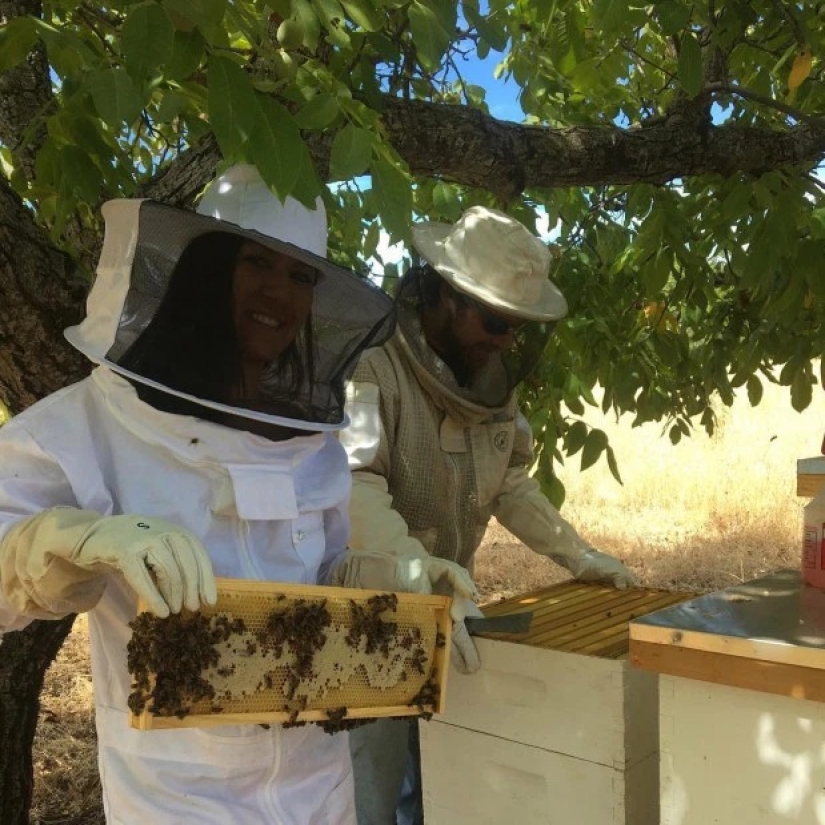 To grow hemp, fighting off bears girlfriend refused from the comfort to live "out of range"