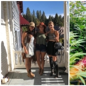 To grow hemp, fighting off bears girlfriend refused from the comfort to live "out of range"
