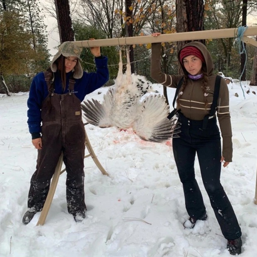 To grow hemp, fighting off bears girlfriend refused from the comfort to live "out of range"