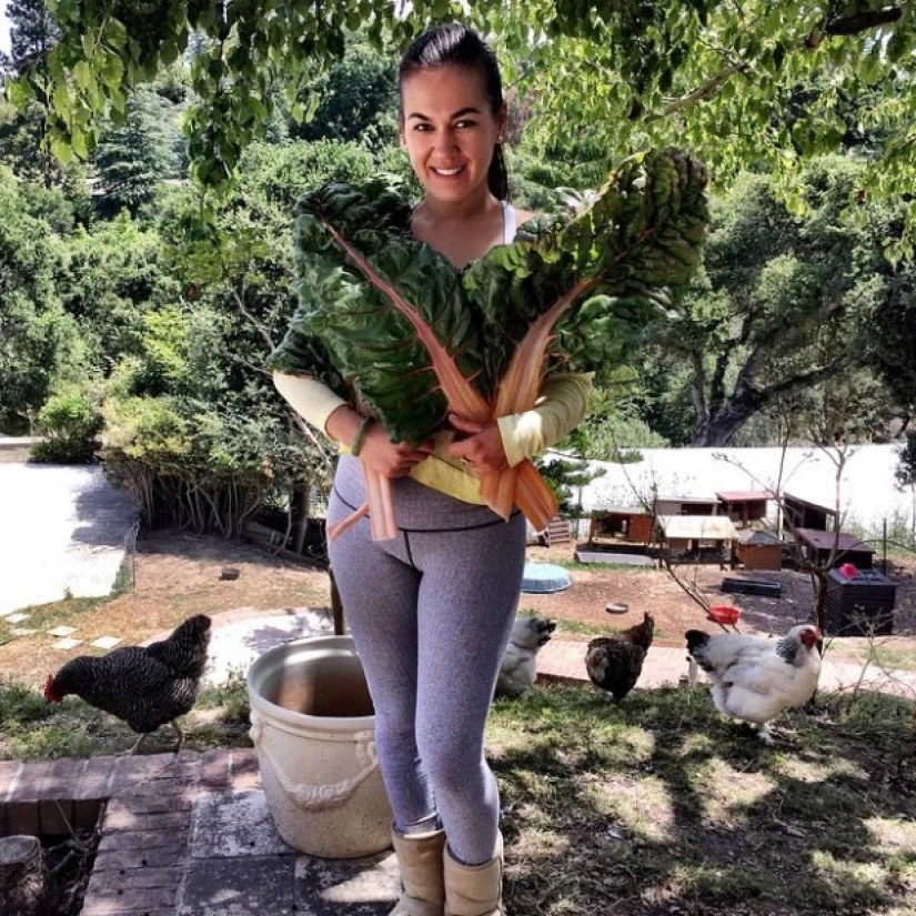 To grow hemp, fighting off bears girlfriend refused from the comfort to live "out of range"