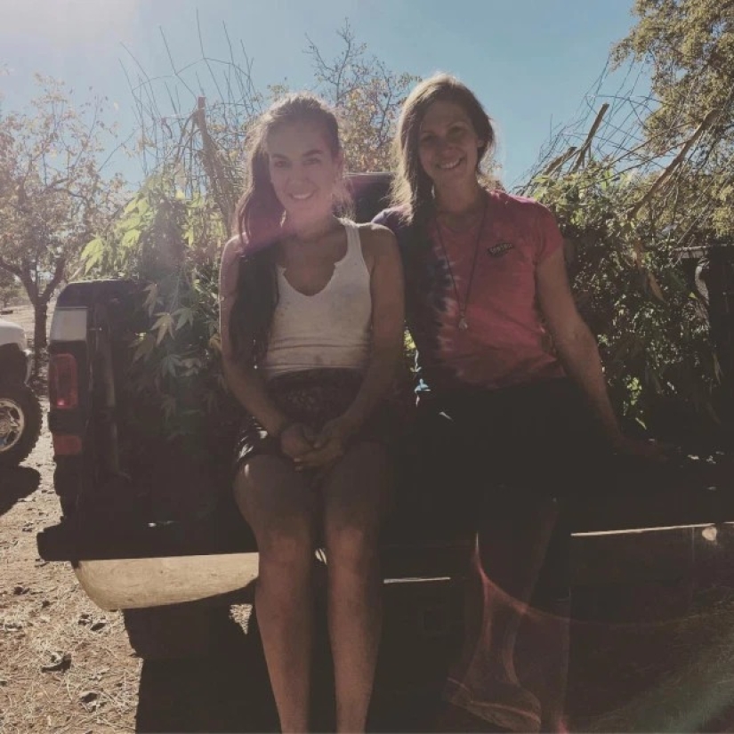 To grow hemp, fighting off bears girlfriend refused from the comfort to live "out of range"