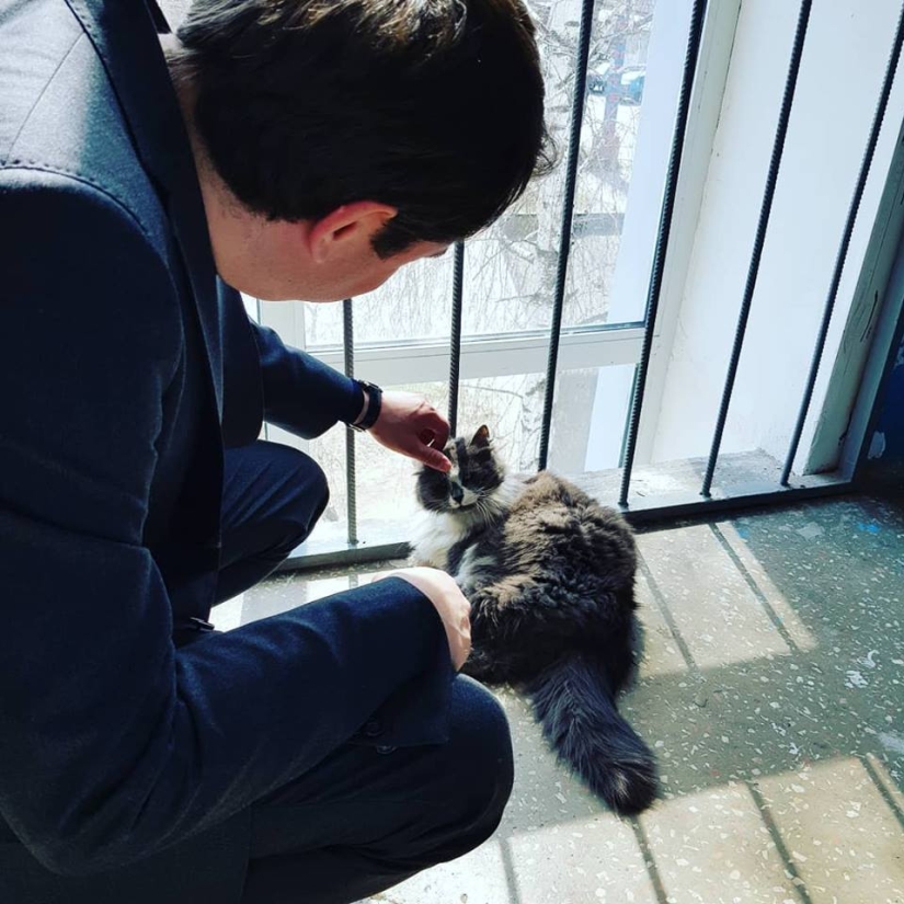 Todo para gatos: El Ministerio de Construcción de la Federación de Rusia prohibió tapiar sótanos Todo para gatos: El Ministerio de Construcción de la Federación de Rusia prohibió tapiar sótanos