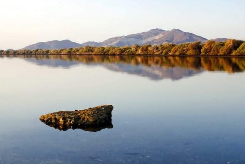 Top 8 Tourist Attractions in Sharjah Top 8 Tourist Attractions in Sharjah