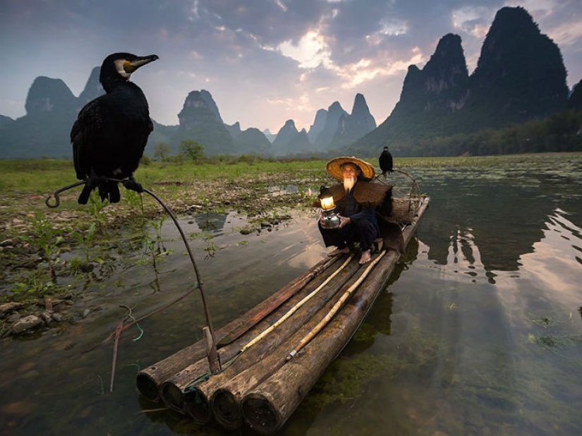 Top of the best National Geographic photos of 2015