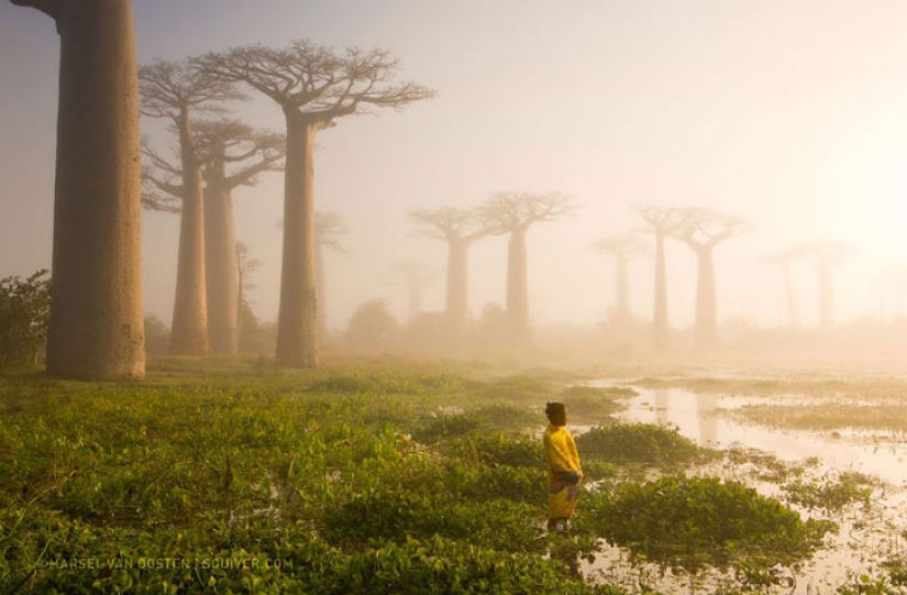 Top of the best National Geographic photos of 2015