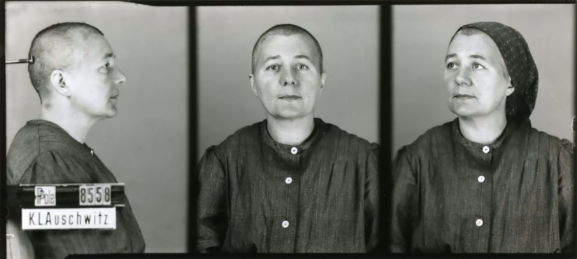 "Traté de calmarlos": retratos de prisioneros de Auschwitz del fotógrafo polaco Wilhelm Brass "Traté de calmarlos": retratos de prisioneros de Auschwitz del fotógrafo polaco Wilhelm Brass