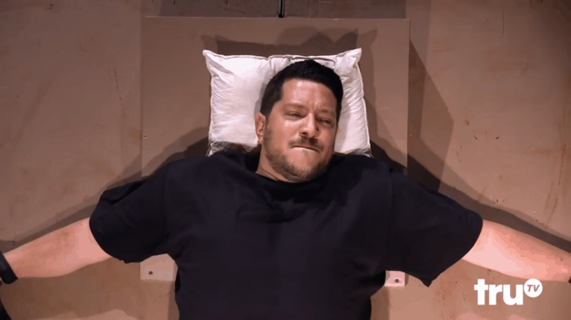 "Trial by seals": friends gave a man with ailurophobia the cutest torture