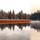 Twin photos taken in different parts of the world