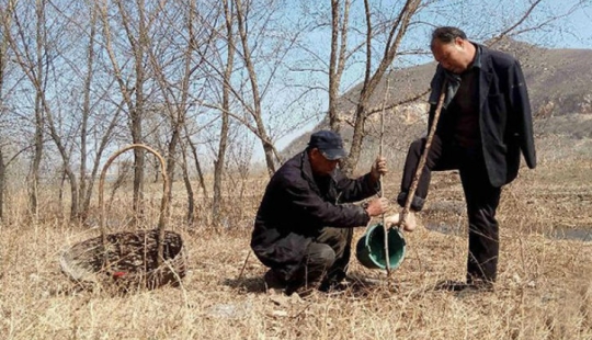 Two Chinese planted 10,000 trees