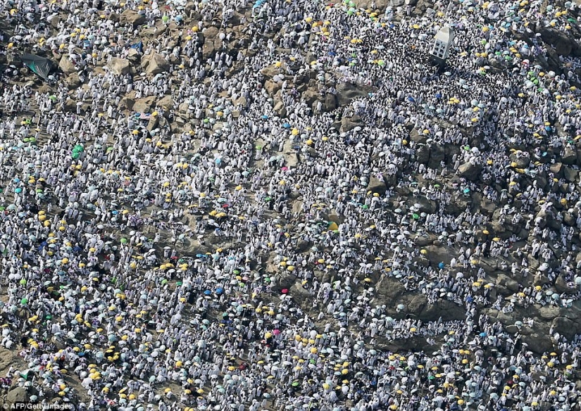 Two million Muslims gathered on Mount Arafat for the culmination of the Hajj
