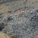 Two million Muslims gathered on Mount Arafat for the culmination of the Hajj