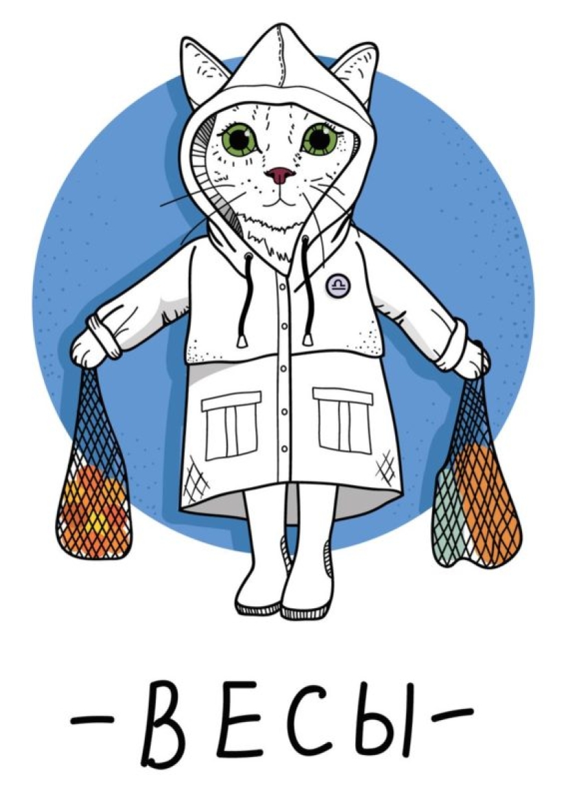 Un artista de San Petersburgo mostró cómo se ven los signos del zodíaco "en San Petersburgo"