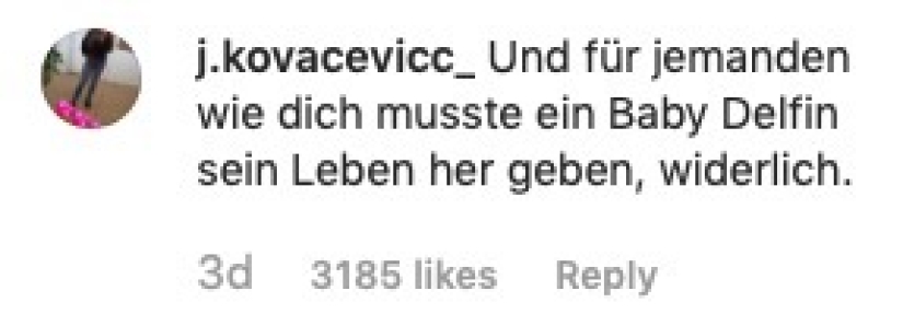 Un bloguero alemán mostró cómo se come a un delfín y se convirtió en objeto de odio. La broma tuvo que ser expuesta con urgencia