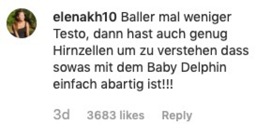 Un bloguero alemán mostró cómo se come a un delfín y se convirtió en objeto de odio. La broma tuvo que ser expuesta con urgencia