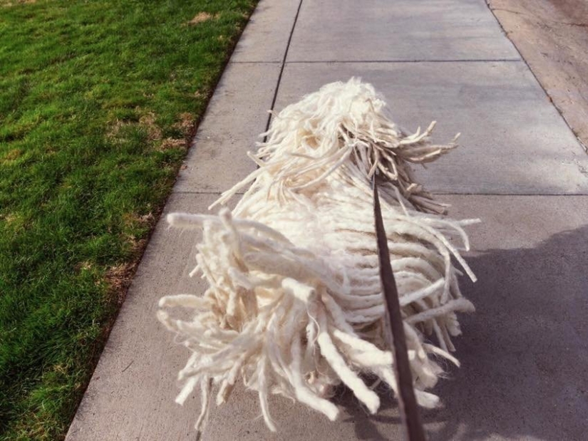 Un día en la vida de Mark Zuckerberg